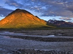 Explore Toklat River, Denali National Park, Alaska