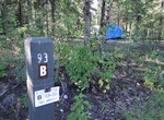 Camp at Riley Creek Campground, Denali National Park, Alaska