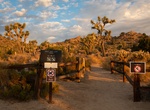 Hike West Side Loop Trail, Joshua Tree National Park