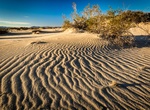 Sandboard Rasor Dunes, California
