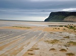 Explore Breiðavík Beach, Westfjords, Iceland