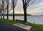 Explore Seward Park, Seattle, Washington