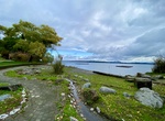 Explore Madrona Park, Seattle, Washington