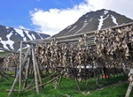 See Önundarfjörður Fish-Drying Racks, Westfjords, Iceland
