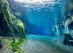 Dive or Snorkel Nesgjá Fissure, Iceland