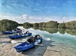 Kayak Purple Island, Qatar