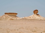 Explore Al Reem Biosphere Reserve, Zekreet Peninsula, Qatar