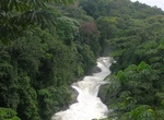 Explore Cross River National Park, Nigeria