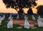 Visit Bunnyhenge, Newport Beach, California