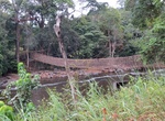 Cross Liana Bridge of Poubara, Franceville, Gabon