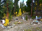 Visit Buckskin Cemetery, Alma, Colorado