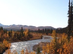 Camp Sanctuary River Campground, Denali National Park