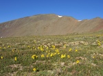 Summit San Luis Peak, La Garita Mountains, Colorado