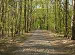 Explore Las Łagiewnicki (Łagiewnicki Forest), Łódź, Poland