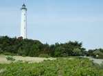 See Lyngvig Lighthouse, Denmark