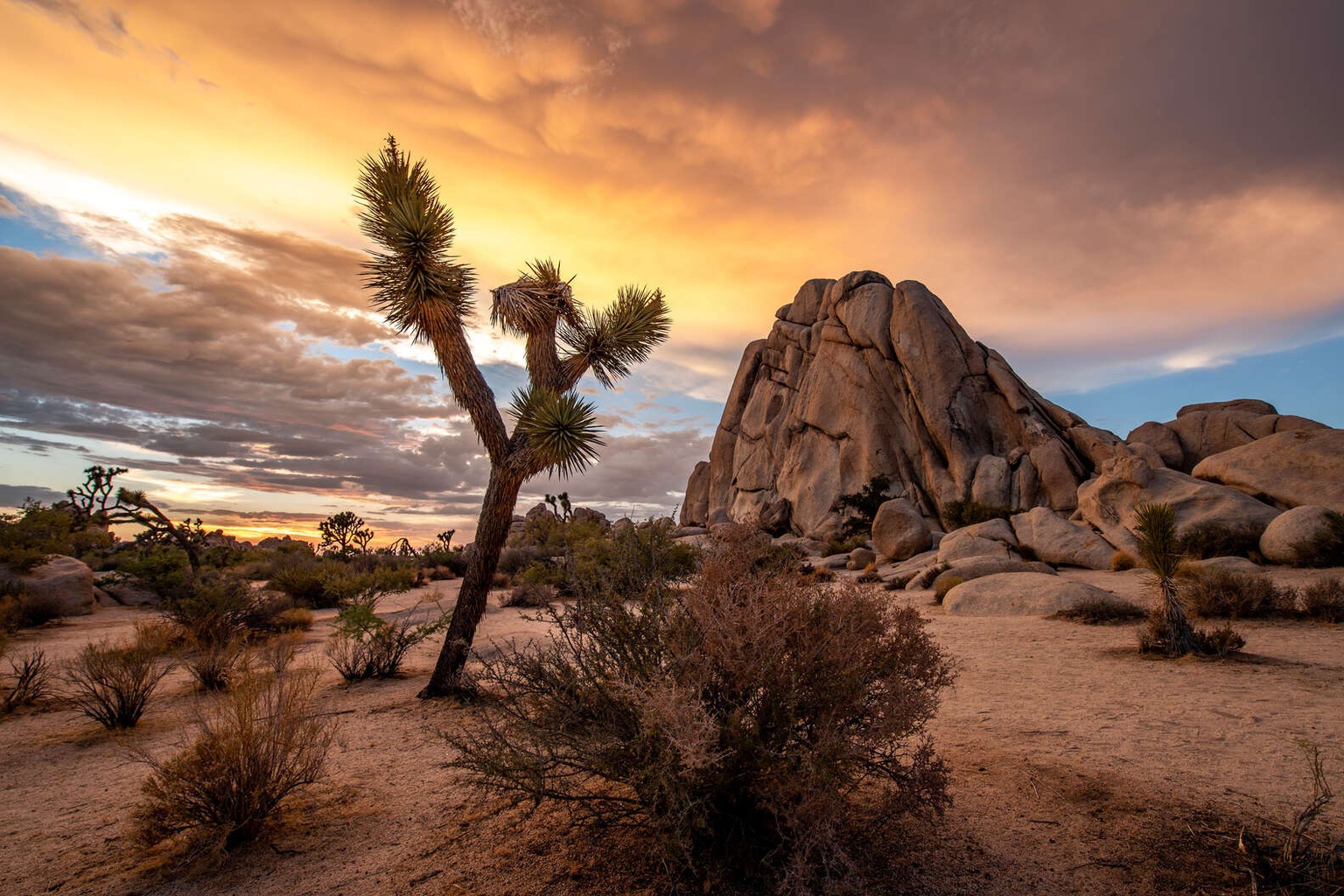 ARE NATIONAL PARKS FREE THIS WEEKEND visual data 7