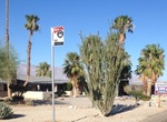 Stay at Oasis Inn, Borrego Springs, California