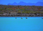 Visit Isla Coronado (Loreto), Baja California Sur, Mexico