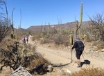 Hike Baja Coast to Coast, Baja California, Mexico