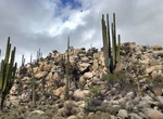 Hike Cataviña Boulder Fields, Cataviña, Baja California, Mexico