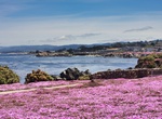 Visit Pacific Grove, California