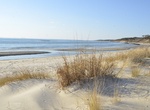 Explore Kiptopeke State Park, Virginia