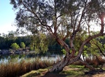 Camp at Miaree Pool, Maitland River, Western Australia