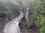Hike Opua to Paihia Walkway, New Zealand