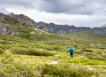 Hike Illawong Walk, Kosciuszko National Park, New South Wales, Australia