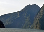 See The Elephant, Milford Sound, New Zealand