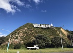 See Wellington Sign, Wellington, New Zealand