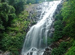 Hike to Tristania Falls, Dorrigo National Park, NSW, Australia
