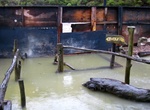 Visit Ngawha Hot Springs, Kaikohe, New Zealand