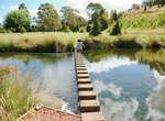 Visit The Tasmanian Arboretum, Devonport, Tasmania, Australia