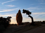 See Penguin Rock, Joshua Tree National Park, California