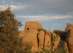 See Elephant Rock (Joshua Tree), Joshua Tree National Park, California