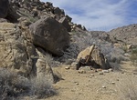 Hike to Johns Camp & Gold Hill Mine, Joshua Tree National Park, California