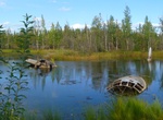 See The Lady of the Lake (B-29), Eielson AFB, Alaska