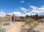 See Coral near Devil's Fire, Gold Butte National Monument, Nevada