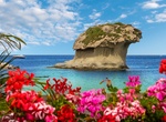 See The Fungo Mushroom Rock, Ischia, Italy