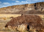 Hike to Wee’s Bar Petroglyphs, Melba, Idaho