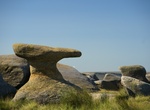 See Bleaklow Stones, Glossop, England