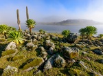 Explore Bale Mountains National Park, Ethiopia (UNESCO site)