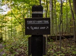 Hike Forest Point Trail, Cuyahoga Valley National Park, Ohio