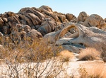 Hike to Scorpius Arch, Joshua Tree National Park, California