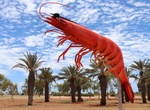 See The Big Prawn in Exmouth, Western Australia