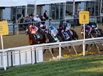 Watch Race at Pimlico Race Course, Baltimore, Maryland