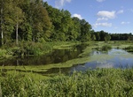Explore Great Swamp National Wildlife Refuge, New Jersey