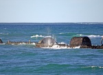 See SS Mildura Wreck, Exmouth, Western Australia
