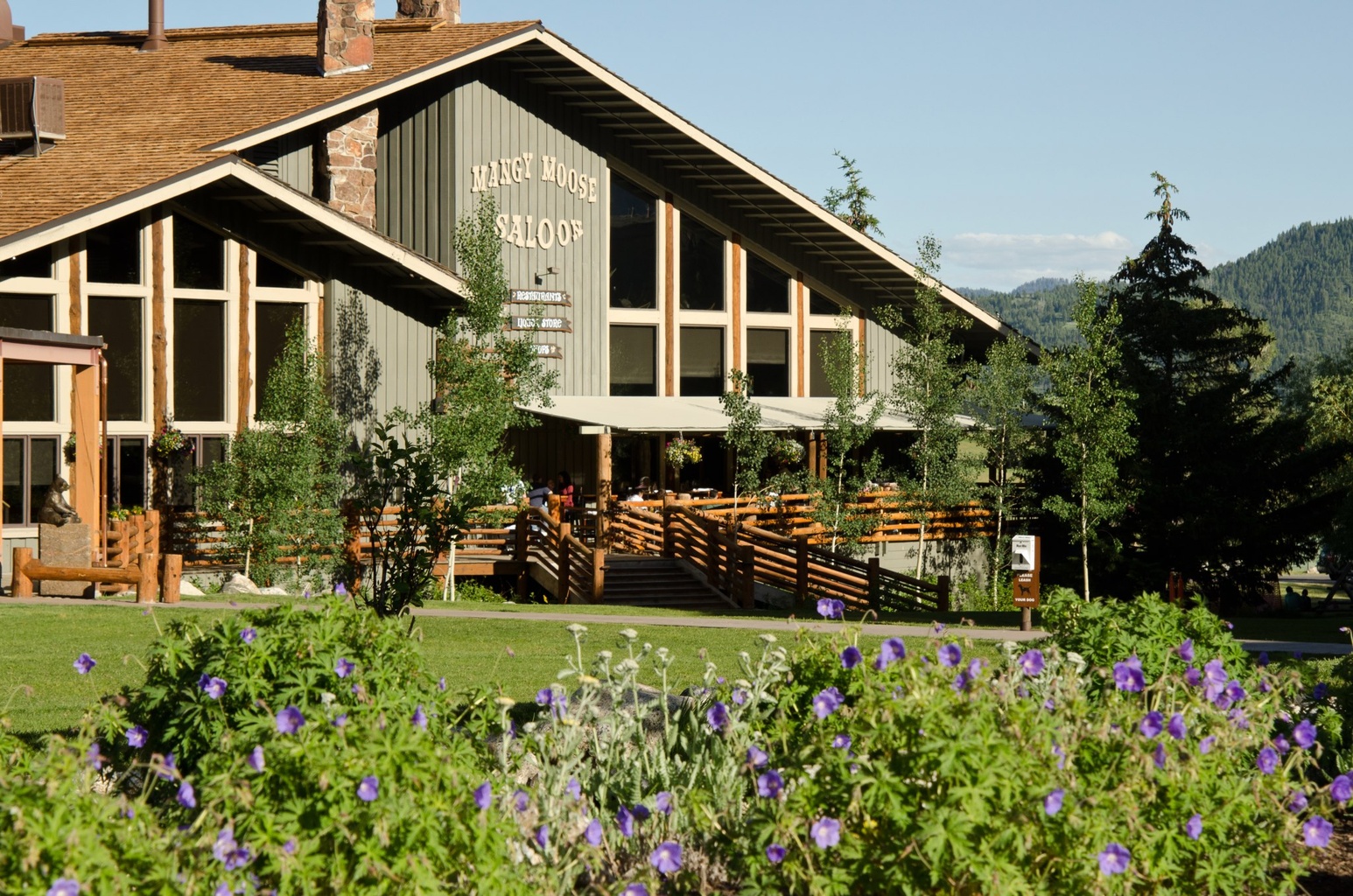 Mangy Moose Steakhouse and Saloon